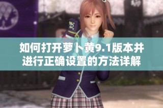如何打开萝卜黄9.1版本并进行正确设置的方法详解