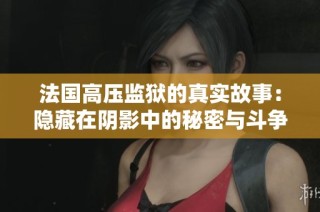 法国高压监狱的真实故事：隐藏在阴影中的秘密与斗争