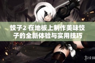 饺子2 在地板上制作美味饺子的全新体验与实用技巧