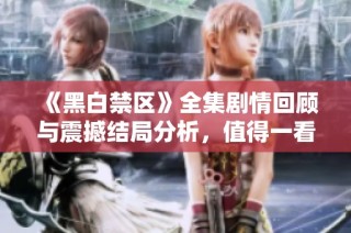 《黑白禁区》全集剧情回顾与震撼结局分析，值得一看！