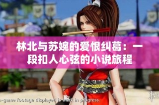 林北与苏婉的爱恨纠葛：一段扣人心弦的小说旅程