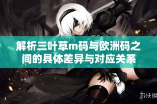 解析三叶草m码与欧洲码之间的具体差异与对应关系