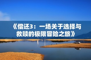 《偿还3：一场关于选择与救赎的极限冒险之旅》