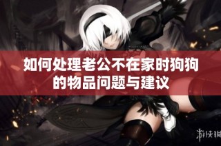 如何处理老公不在家时狗狗的物品问题与建议