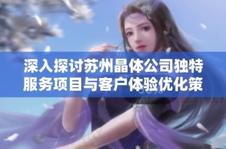 深入探讨苏州晶体公司独特服务项目与客户体验优化策略