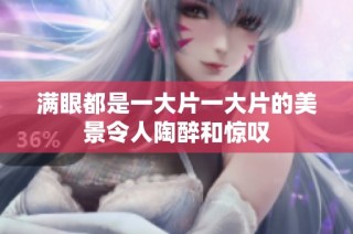 满眼都是一大片一大片的美景令人陶醉和惊叹