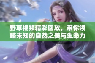 野草视频精彩回放，带你领略未知的自然之美与生命力