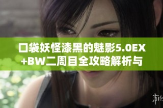 口袋妖怪漆黑的魅影5.0EX+BW二周目全攻略解析与实用技巧分享