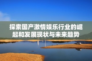 探索国产激情娱乐行业的崛起和发展现状与未来趋势