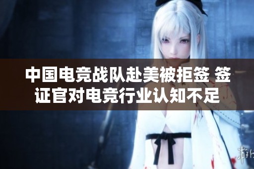 中国电竞战队赴美被拒签 签证官对电竞行业认知不足