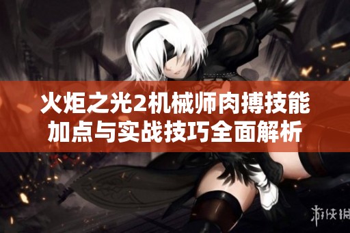 火炬之光2机械师肉搏技能加点与实战技巧全面解析