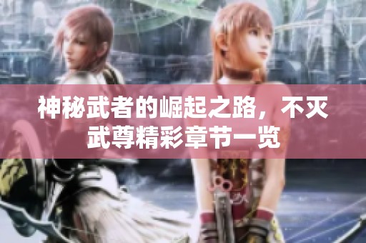 神秘武者的崛起之路，不灭武尊精彩章节一览