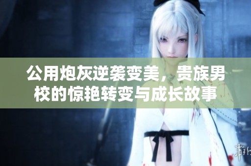 公用炮灰逆袭变美，贵族男校的惊艳转变与成长故事