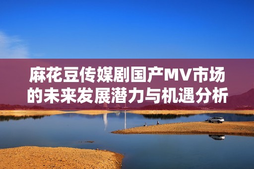 麻花豆传媒剧国产MV市场的未来发展潜力与机遇分析