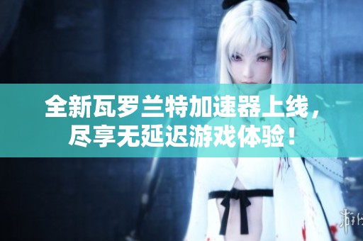 全新瓦罗兰特加速器上线，尽享无延迟游戏体验！