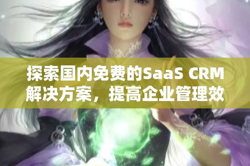 探索国内免费的SaaS CRM解决方案，提高企业管理效率