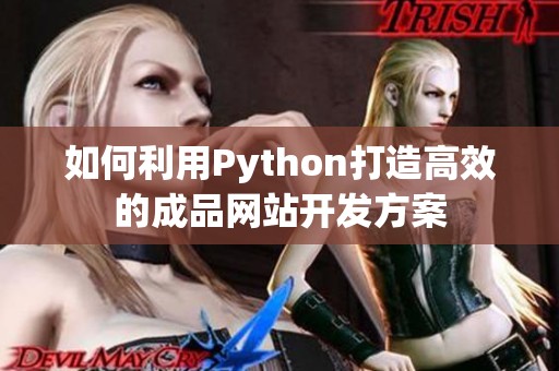 如何利用Python打造高效的成品网站开发方案