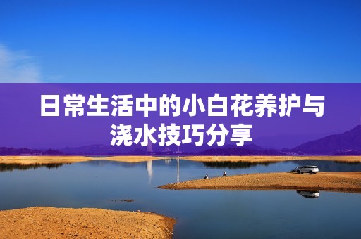 日常生活中的小白花养护与浇水技巧分享