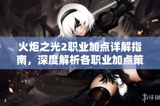 火炬之光2职业加点详解指南，深度解析各职业加点策略与操作
