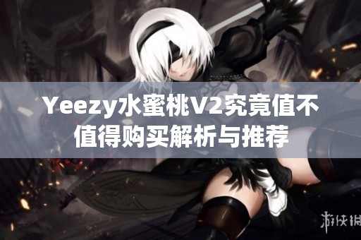 Yeezy水蜜桃V2究竟值不值得购买解析与推荐