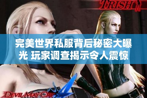 完美世界私服背后秘密大曝光 玩家调查揭示令人震惊的行业内幕与真相