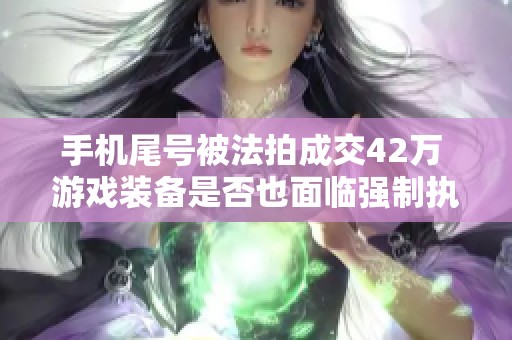 手机尾号被法拍成交42万 游戏装备是否也面临强制执行的风险解析