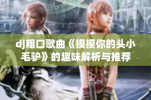 dj粗口歌曲《摸摸你的头小毛驴》的趣味解析与推荐