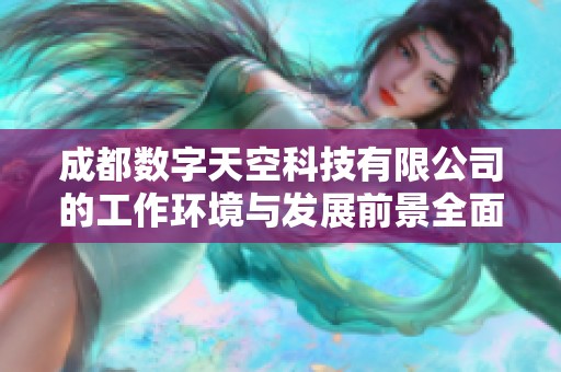 成都数字天空科技有限公司的工作环境与发展前景全面解析及用户评价整理
