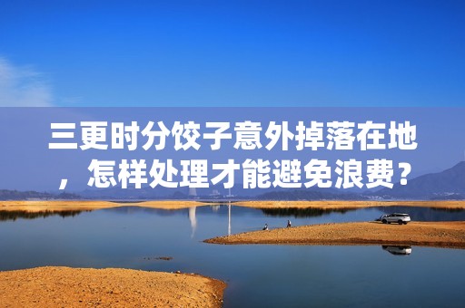 三更时分饺子意外掉落在地，怎样处理才能避免浪费？