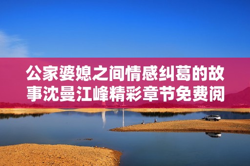 公家婆媳之间情感纠葛的故事沈曼江峰精彩章节免费阅读