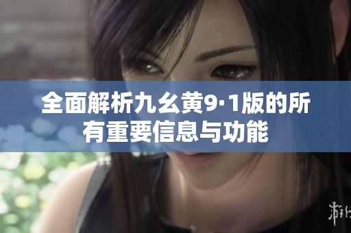 全面解析九幺黄9·1版的所有重要信息与功能