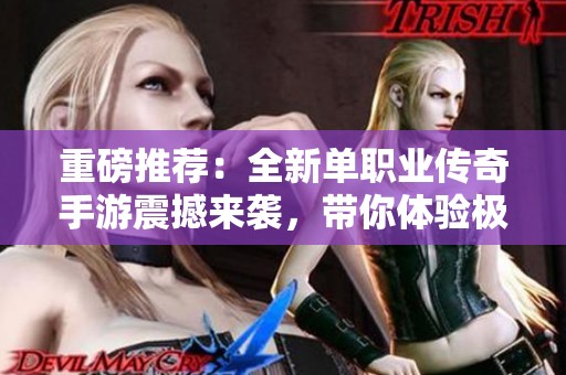 重磅推荐：全新单职业传奇手游震撼来袭，带你体验极致装备爆率与热血战斗乐趣