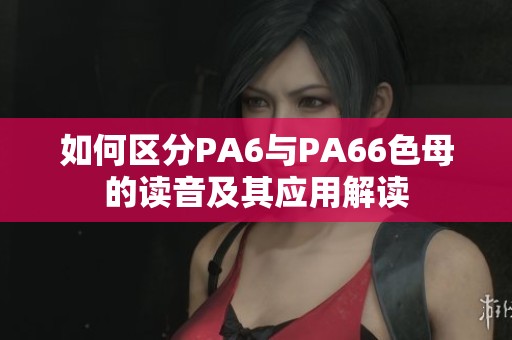 如何区分PA6与PA66色母的读音及其应用解读