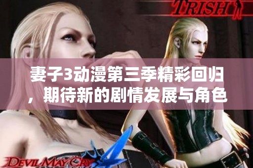 妻子3动漫第三季精彩回归，期待新的剧情发展与角色成长