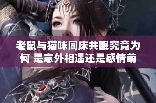 老鼠与猫咪同床共眠究竟为何 是意外相遇还是感情萌芽的信号
