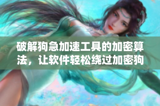 破解狗急加速工具的加密算法，让软件轻松绕过加密狗的检测机制