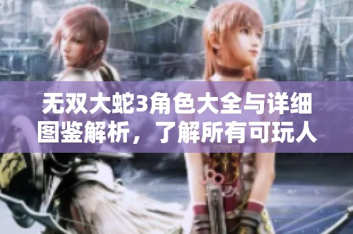 无双大蛇3角色大全与详细图鉴解析，了解所有可玩人物及特性
