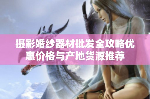 摄影婚纱器材批发全攻略优惠价格与产地货源推荐