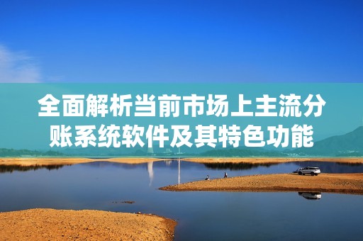 全面解析当前市场上主流分账系统软件及其特色功能