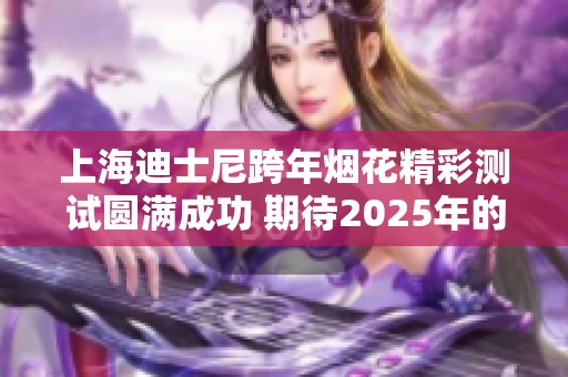 上海迪士尼跨年烟花精彩测试圆满成功 期待2025年的梦幻盛宴