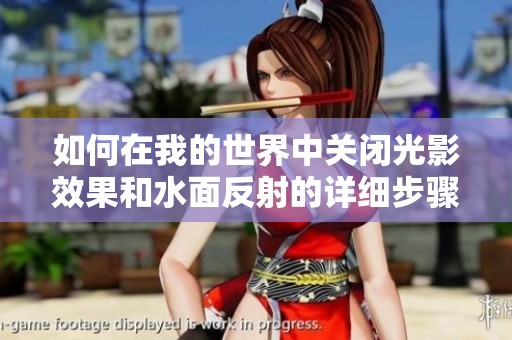 如何在我的世界中关闭光影效果和水面反射的详细步骤解析