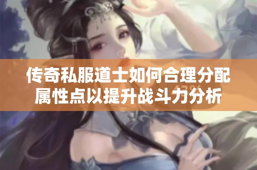 传奇私服道士如何合理分配属性点以提升战斗力分析