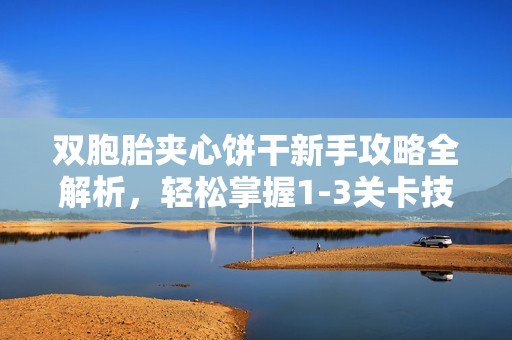 双胞胎夹心饼干新手攻略全解析，轻松掌握1-3关卡技巧