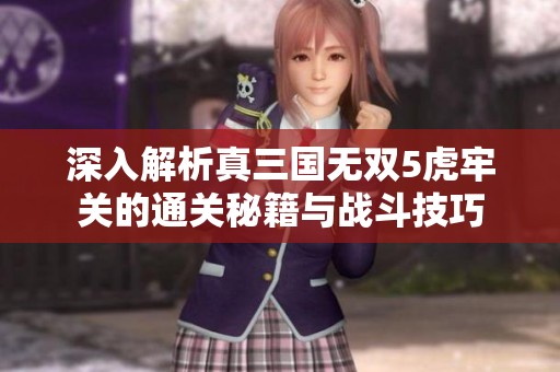 深入解析真三国无双5虎牢关的通关秘籍与战斗技巧
