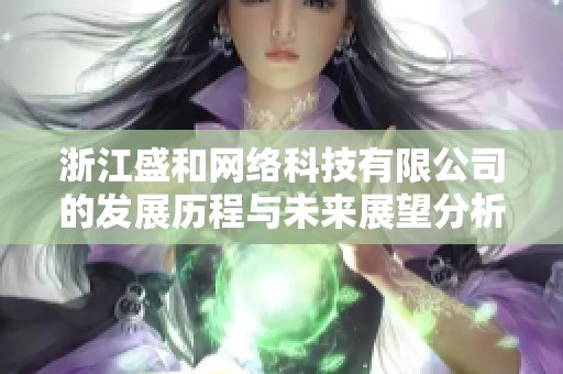 浙江盛和网络科技有限公司的发展历程与未来展望分析