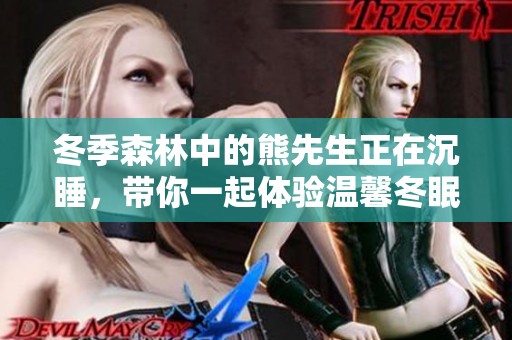 冬季森林中的熊先生正在沉睡，带你一起体验温馨冬眠动漫之旅
