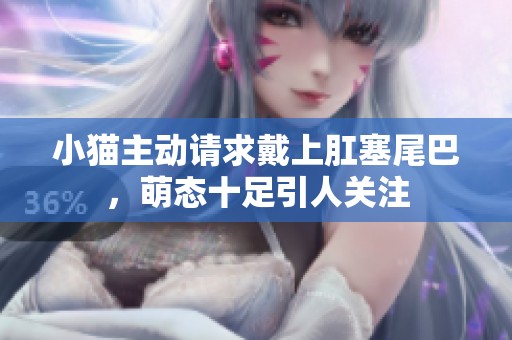 小猫主动请求戴上肛塞尾巴，萌态十足引人关注