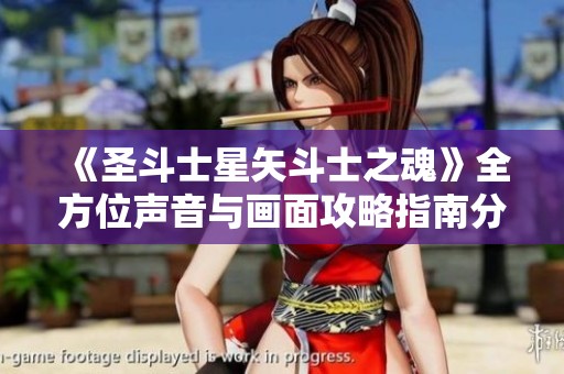 《圣斗士星矢斗士之魂》全方位声音与画面攻略指南分享