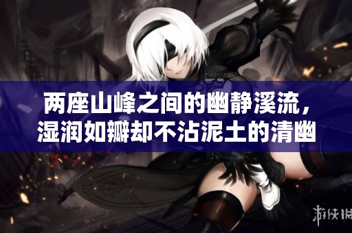 两座山峰之间的幽静溪流，湿润如瓣却不沾泥土的清幽境界
