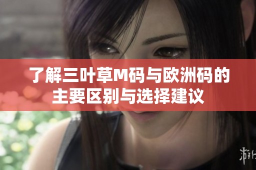 了解三叶草M码与欧洲码的主要区别与选择建议
